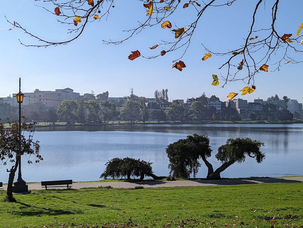 Aerial view of Oakland, CA